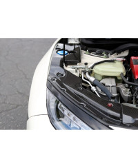 SET COOLING PLATE CARBONE HONDA CIVIC TYPE R - APR PERFORMANCE