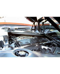 CACHE PLENUM MOTEUR CARBONE CHEVROLET CORVETTE C8 - APR PERFORMANCE 