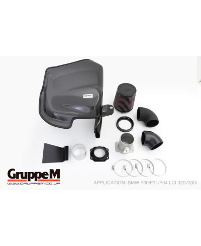 KIT ADMISSION RAM AIR SYSTEM BMW 330i F30/F31/F34 2.0L (205-2019) - FRI-0340