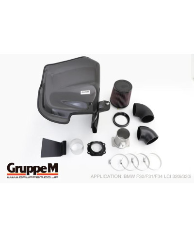 KIT ADMISSION RAM AIR SYSTEM BMW 320d F30/F31/F34 2.0L (2012-2016) - GRUPPEM 