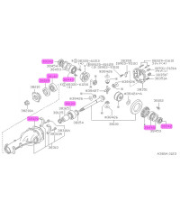 Kit réféction pont Nissan