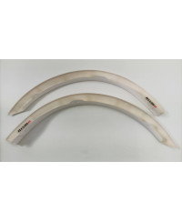 SET DE FENDER AVANT R34 NISMO