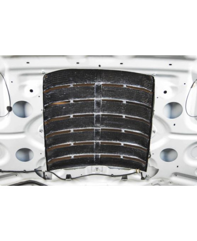 PRISE D'AIR DE CAPOT FORD MUSTANG 2015-2017 - APR PERFORMANCE 