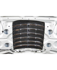 PRISE D'AIR DE CAPOT FORD MUSTANG 2015-2017 - APR PERFORMANCE 