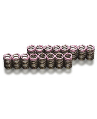 RESSORTS DE SOUPAPES HONDA F20C/ F22C - K20A - TODA RACING 