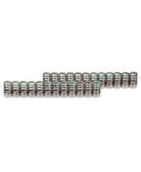 RESSORTS SOUPAPES HONDA NSX C30A/C32B - TODA RACING