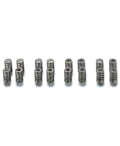 RESSORTS DE SOUPAPES TOYOTA LEVIN, TRUENO 4AG- 4 SOUPAPES - TODA RACING