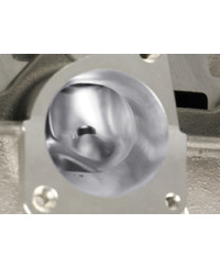 INDIVIDUAL THROTTLE BODY (ITB) CARBONE 4 PAPILLONS HONDA S2000 (F20C) - TODA RACING 