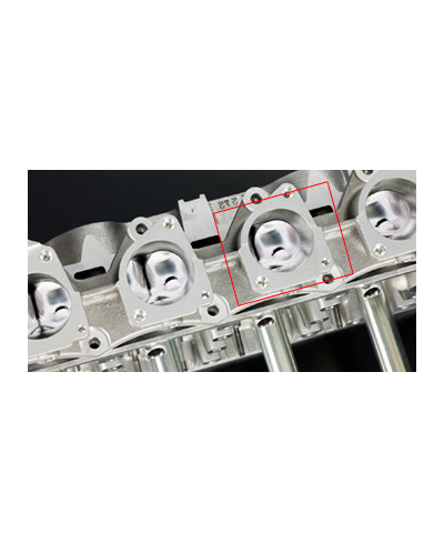 INDIVIDUAL THROTTLE BODY (ITB) CARBONE 4 PAPILLONS HONDA S2000 (F20C) - TODA RACING 