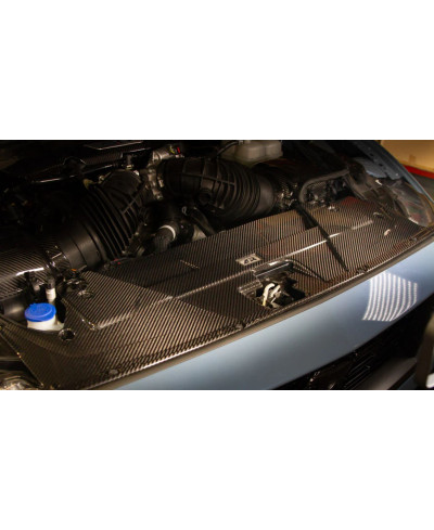 COOLING PLATE CARBONE FORD MUSTANG GT/ DARK HORSE/ ECOBOOST - APR PERFORMANCE