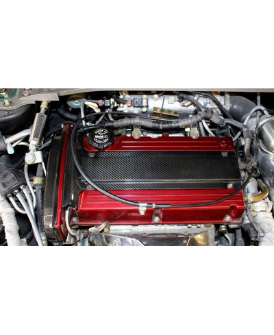 CACHE DISTRIBUTION CARBONE MITSUBISHI EVO 8/9 - APR PERFORMANCE