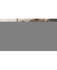 PORTE MOYEU AVANT GAUCHE 200SX S13 NISSAN