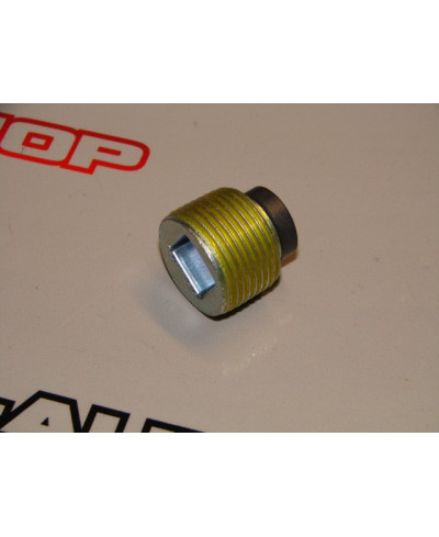 Bouchon vidange boite Nissan