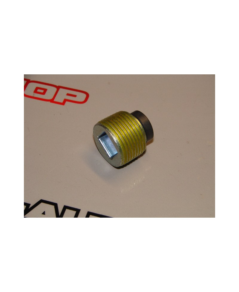 Bouchon vidange boite Nissan