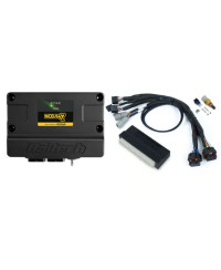 ECU NEXUS S2 & KIT FAISCEAUX HONDA INTEGRA DC5 (05-06) - HALTECH 