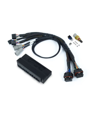 ECU NEXUS S2 & KIT FAISCEAUX HONDA S2000 - HALTECH 