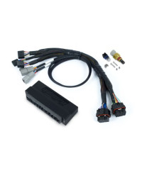 ECU NEXUS S2 & KIT FAISCEAUX HONDA S2000 - HALTECH 