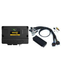 ECU NEXUS S2 & KIT FAISCEAUX MAZDA MX5 (NB) - HALTECH 