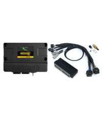 ECU NEXUS S3 & KIT FAISCEAUX NISSAN SKYLINE R34 GTT, STAGEA WC34- HALTECH 