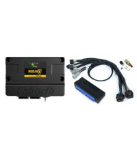 ECU NEXUS S3 & KIT FAISCEAUX NISSAN SILVIA S13 (SR20DET)- HALTECH 