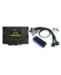 ECU NEXUS S3 & KIT FAISCEAUX NISSAN PATROL Y60, Y61 - HALTECH 