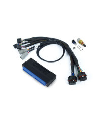 ECU NEXUS S3 & KIT FAISCEAUX NISSAN PATROL Y60, Y61 - HALTECH 