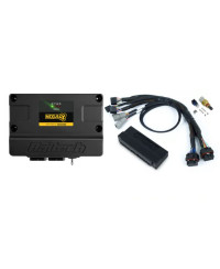 ECU NEXUS S3 & KIT FAISCEAUX HONDA CIVIC, INTEGRA, PRELUDE, ACCORD OBD-I - HALTECH 