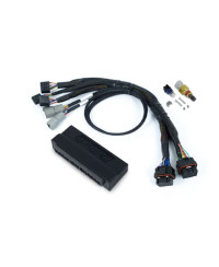 ECU NEXUS S3 & KIT FAISCEAUX HONDA CIVIC, INTEGRA, PRELUDE, ACCORD OBD-I - HALTECH 
