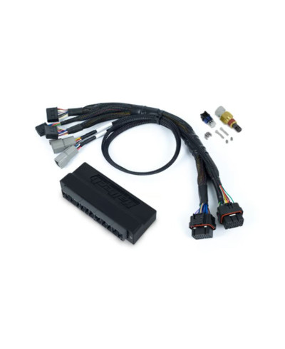 ECU NEXUS S3 & KIT FAISCEAUX HONDA S2000 (AP1/AP2)- HALTECH 