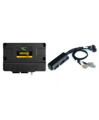 ECU NEXUS S3 & KIT FAISCEAUX TOYOTA SUPRA MK4 (JZA80) - HALTECH 