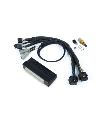 ECU NEXUS S3 & KIT FAISCEAUX SUBARU WRX/STI (11-19) (AUS) - HALTECH 