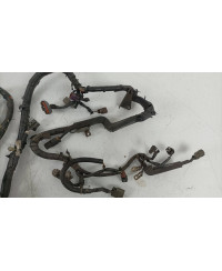 FAISCEAU MOTEUR SKYLINE R33 GTST SPEC 1 NISSAN 