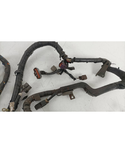 FAISCEAU MOTEUR SKYLINE R33 GTST SPEC 1 NISSAN 