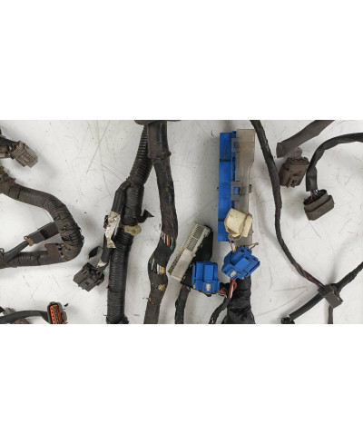 FAISCEAU MOTEUR SKYLINE R33 GTST SPEC 1 NISSAN 