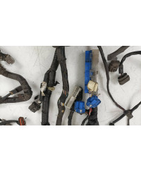 FAISCEAU MOTEUR SKYLINE R33 GTST SPEC 1 NISSAN 