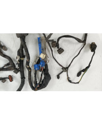 FAISCEAU MOTEUR SKYLINE R33 GTST SPEC 1 NISSAN 