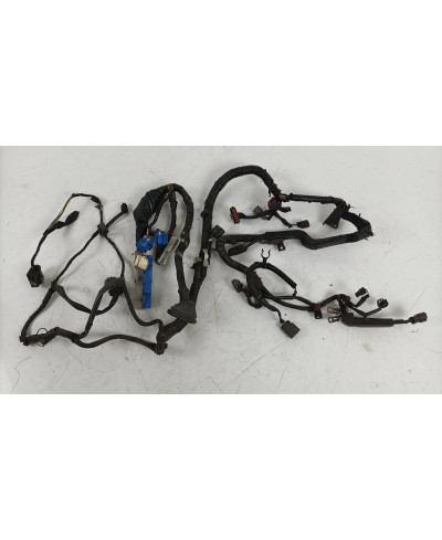 FAISCEAU MOTEUR SKYLINE R33 GTST SPEC 1 NISSAN 