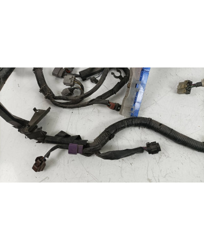 FAISCEAU MOTEUR SKYLINE R33 GTST SPEC 2 NISSAN 