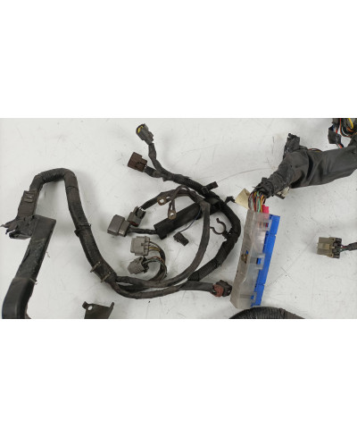 FAISCEAU MOTEUR SKYLINE R33 GTST SPEC 2 NISSAN 