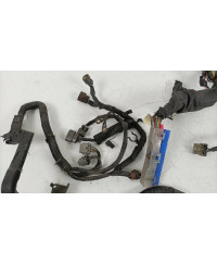 FAISCEAU MOTEUR SKYLINE R33 GTST SPEC 2 NISSAN 