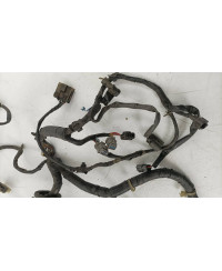 FAISCEAU MOTEUR SKYLINE R33 GTST SPEC 2 NISSAN 