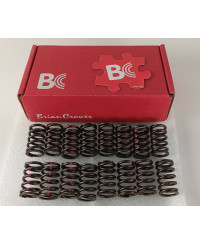 SET RESSORTS SOUPAPES SR20DET BRIAN CROWER 