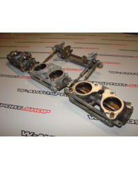 PAPILLONS RB26 NISSAN