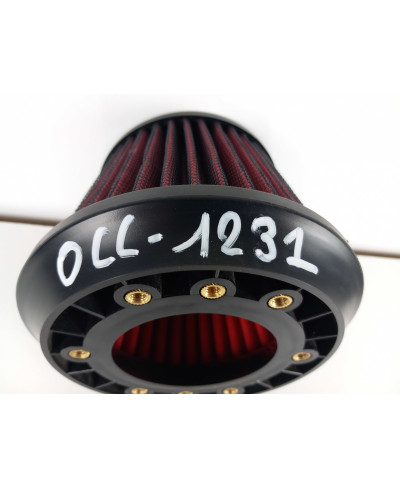 FILTRE A AIR PERFORMANCE APEXI SKYLINE R34 GTT NISSAN