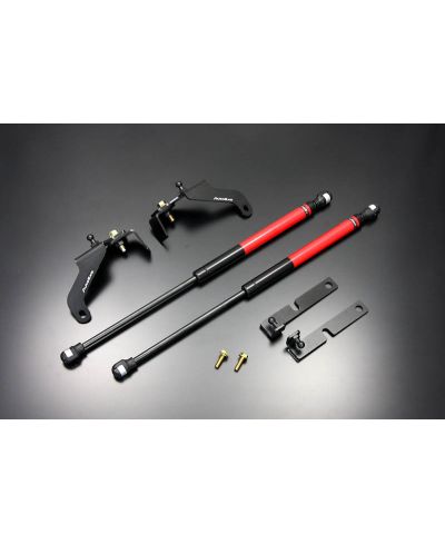 VERINS DE CAPOT MAZDA RX-8 - AUTOEXE