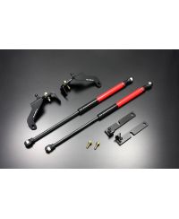 VERINS DE CAPOT MAZDA RX-8 - AUTOEXE