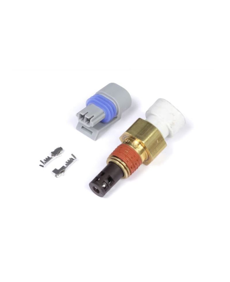 SONDE DE TEMPERATURE D'AIR M14 x 1.5 - HALTECH 