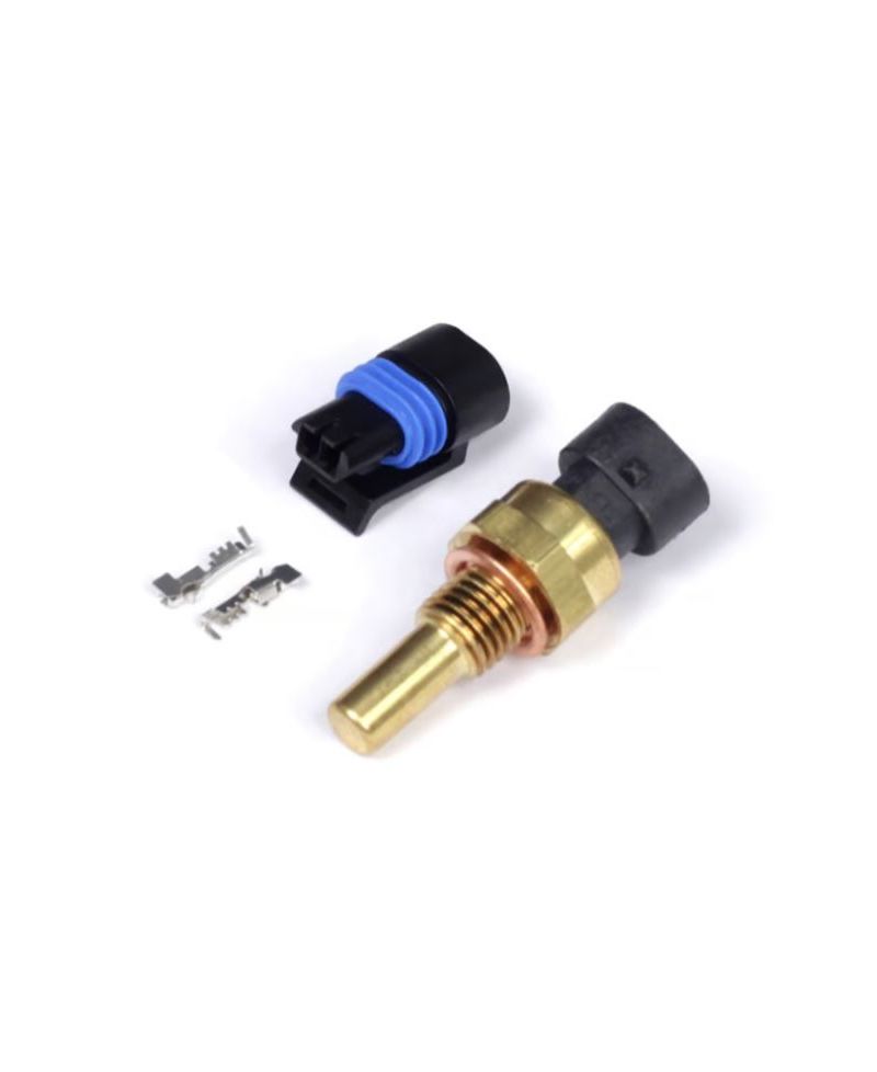 SONDE DE TEMPERATURE D'EAU M12 x 1.5 - HALTECH 