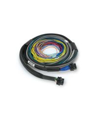 KIT FAISCEAUX UNIVERSEL WIRE-IN NEXUS S2/S3- HALTECH 