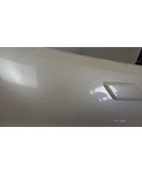 OCC-2181-SS3